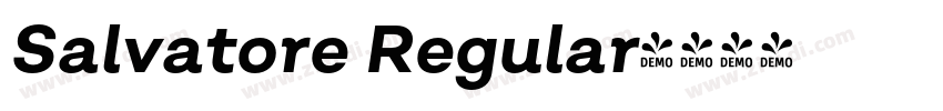 Salvatore Regular字体转换